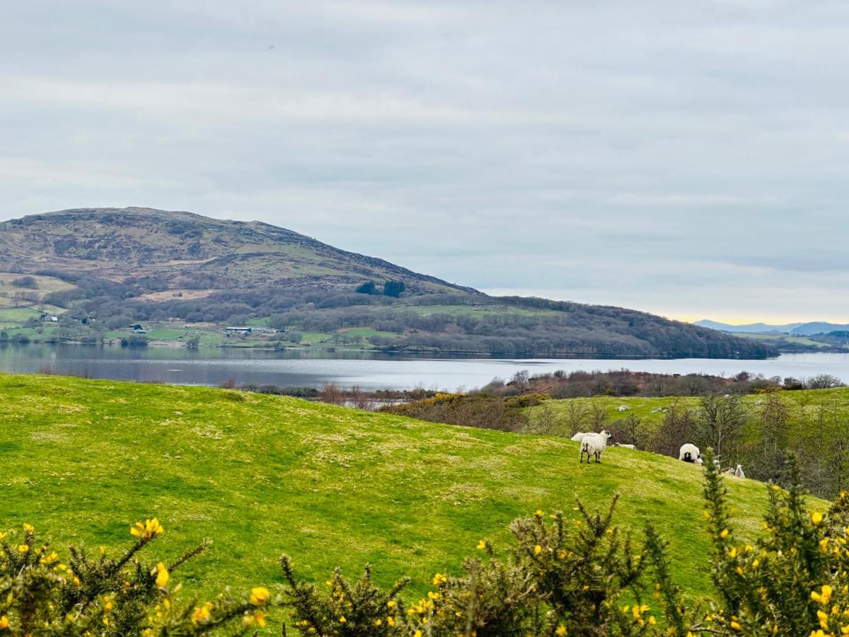 Trawsfynydd Stone Cottage Zewnętrze zdjęcie